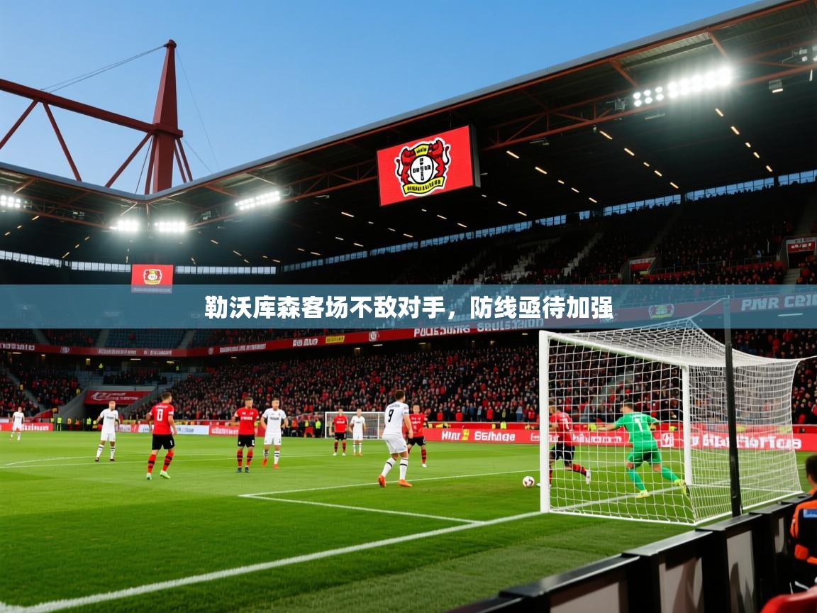 勒沃库森客场不敌对手，防线亟待加强  第1张