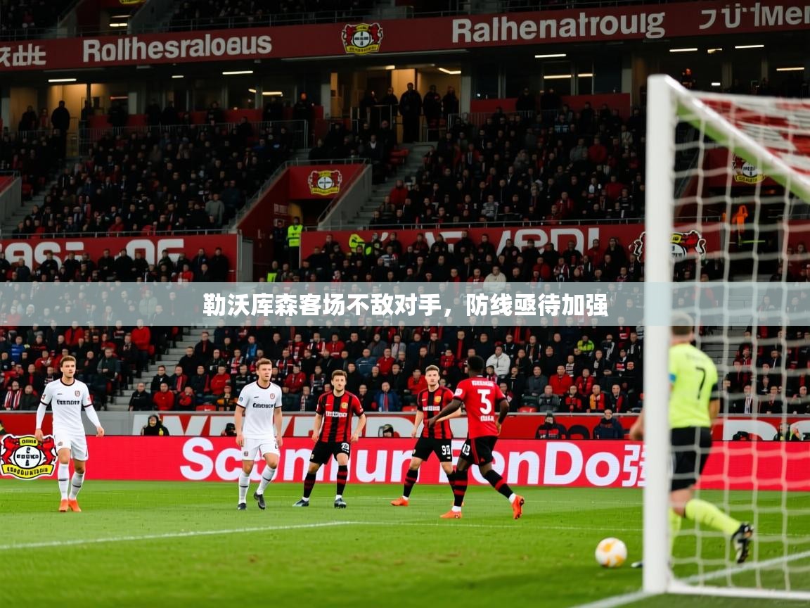 勒沃库森客场不敌对手，防线亟待加强  第3张