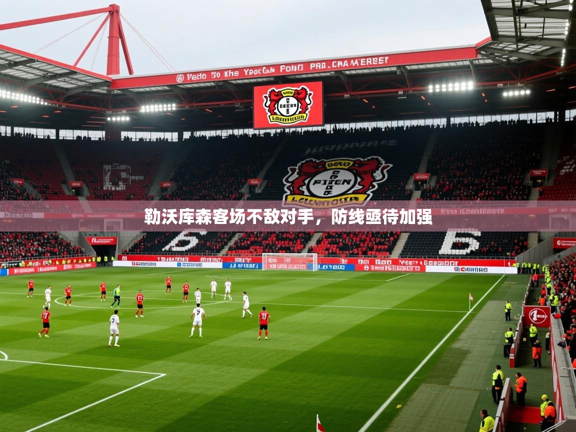 勒沃库森客场不敌对手，防线亟待加强  第4张